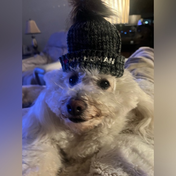 🆕 Matching Dog & Owner Beanie - I Love My Dog /I Love My Human - Picture 6 of 17